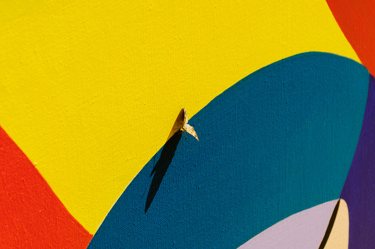ARTE VIVA